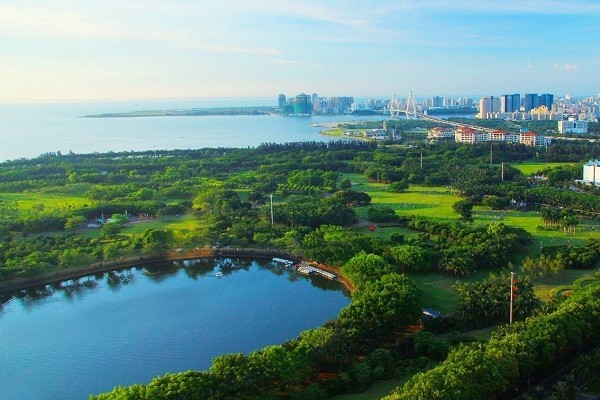 新埠島—世紀(jì)大橋—西海岸會(huì)展中心